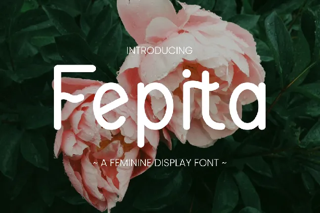 FEPITA font