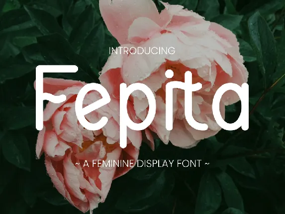 FEPITA font