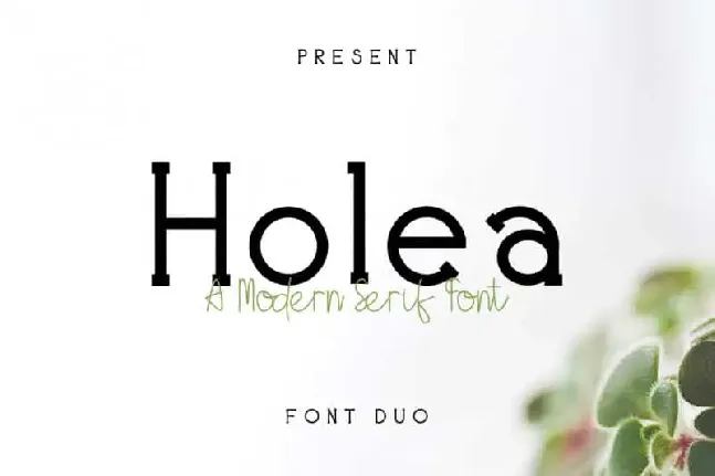 Holea Duo font