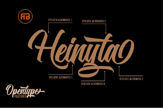 Heinyta font