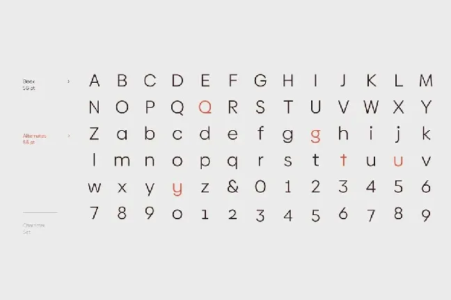 Biennale Family font