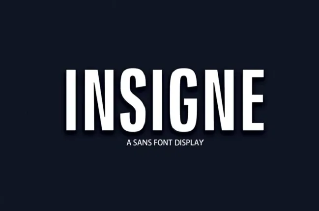 Insigne font