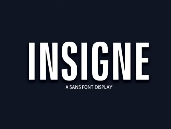 Insigne font