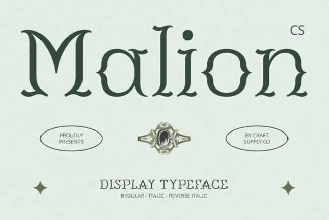 CS Malion font