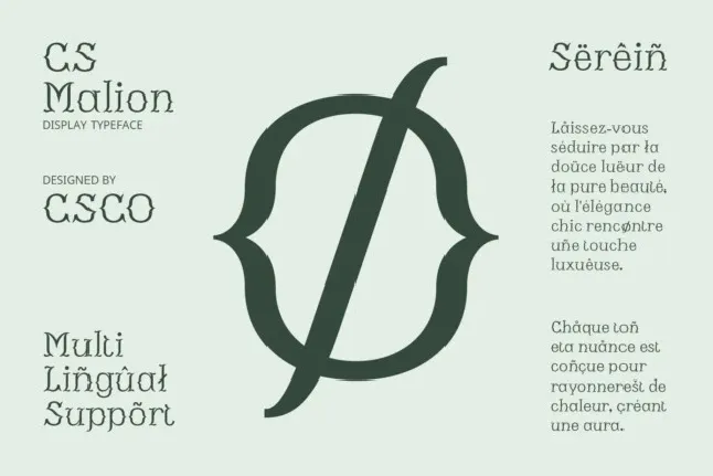 CS Malion font