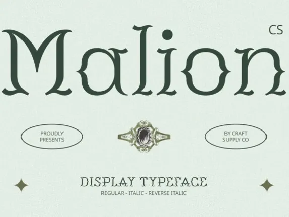 CS Malion font