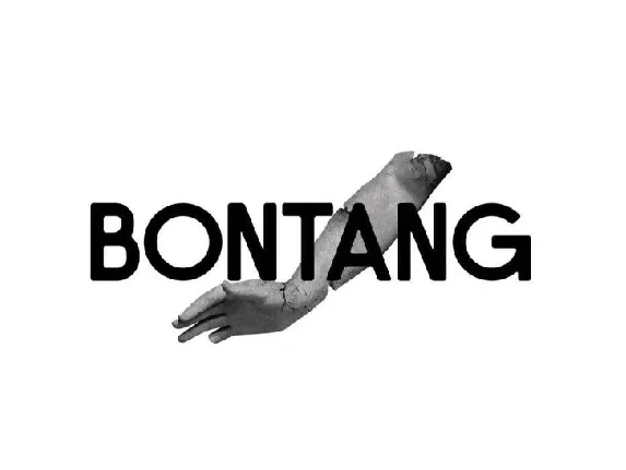 Bontang font