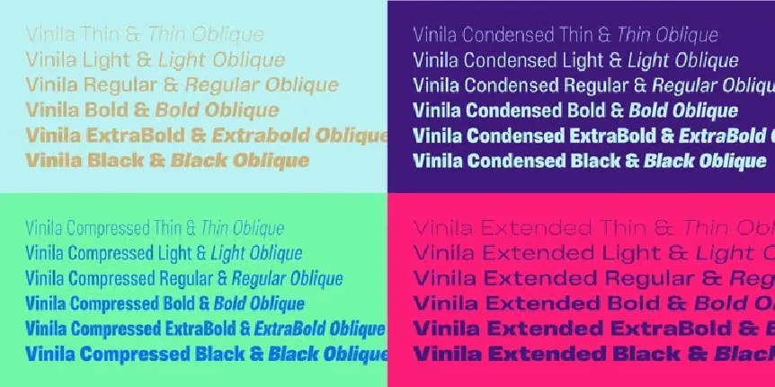 Vinila Family font