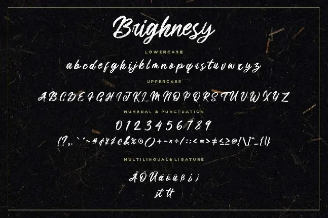 Brighnesy font