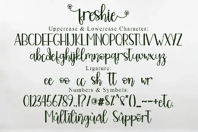 Freshie - Personal Use font