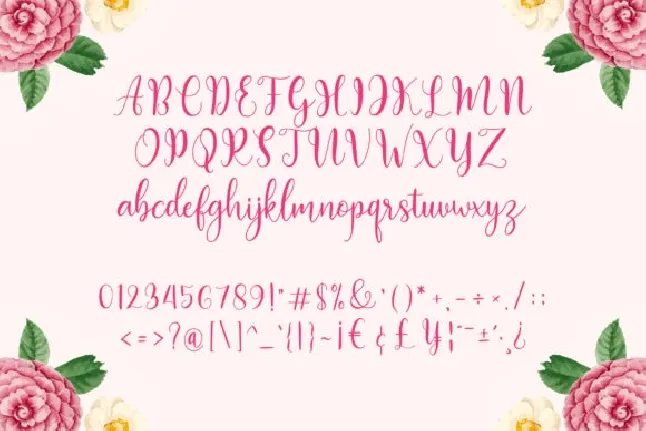 Bolyvina Calligraphy font