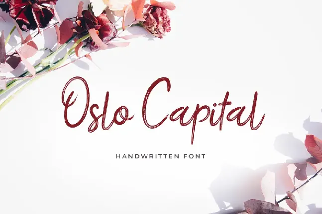 Oslo Capital font