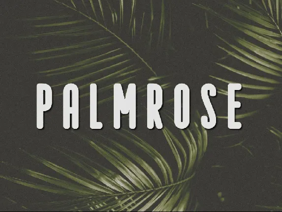 Palmrose font