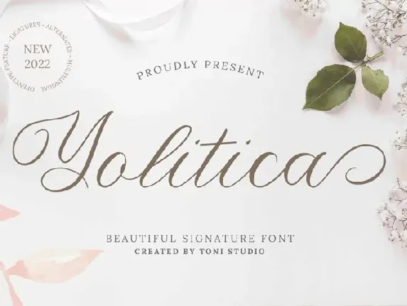 Yolitica font