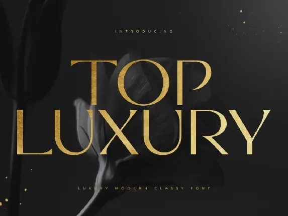 Top Luxury font