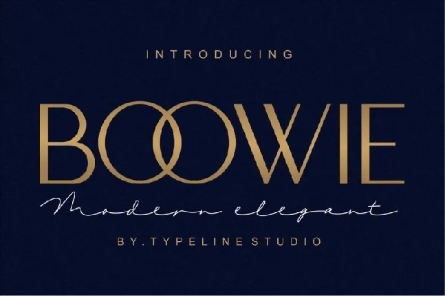 Boowie Sans Serif font