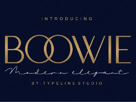 Boowie Sans Serif font