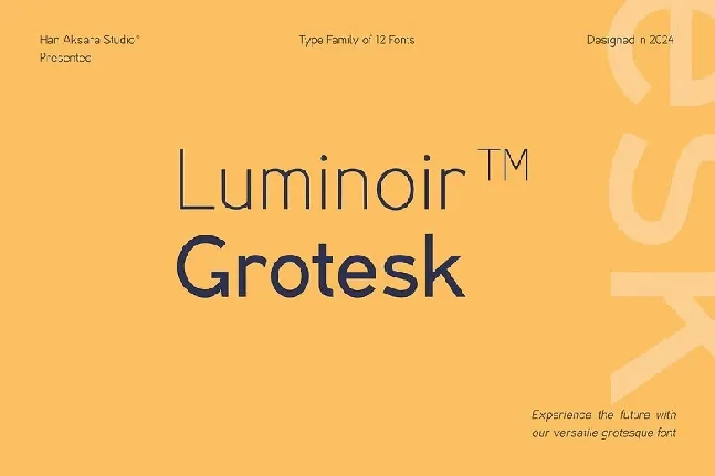 Luminoir Grotesk font