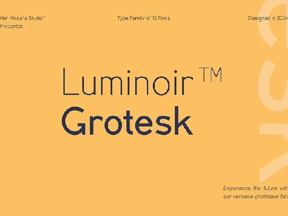 Luminoir Grotesk font