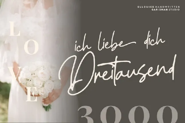 Ellouise Script font