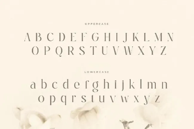 Ralita font