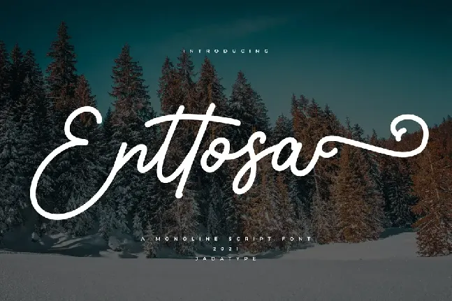 Enttosa font