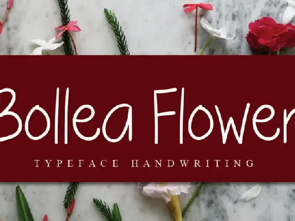 Bollea Flower Handwritten font