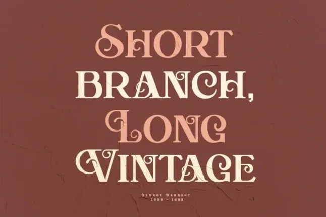 Aesthic Classic font