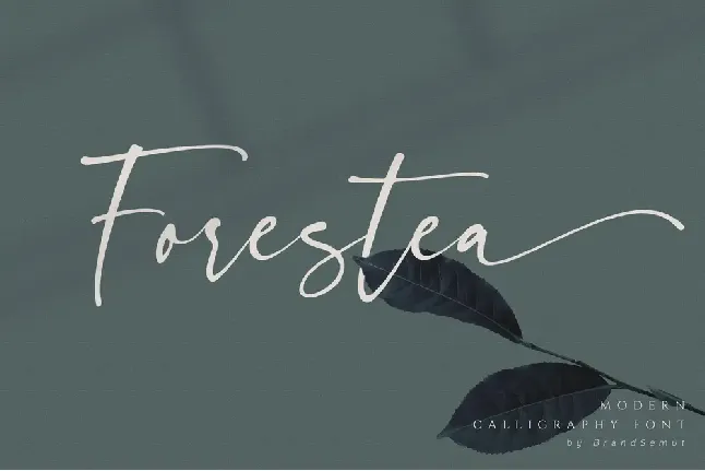 Forestea Script font