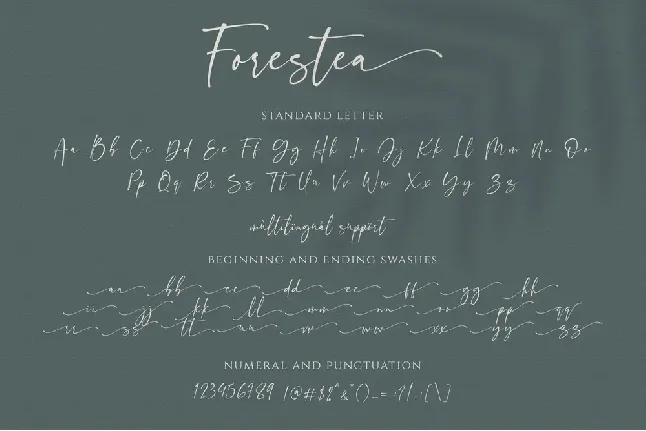 Forestea Script font