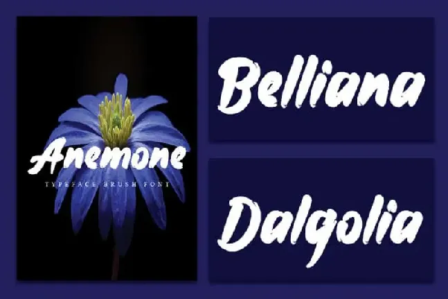 Anemone Brush font