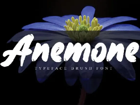 Anemone Brush font