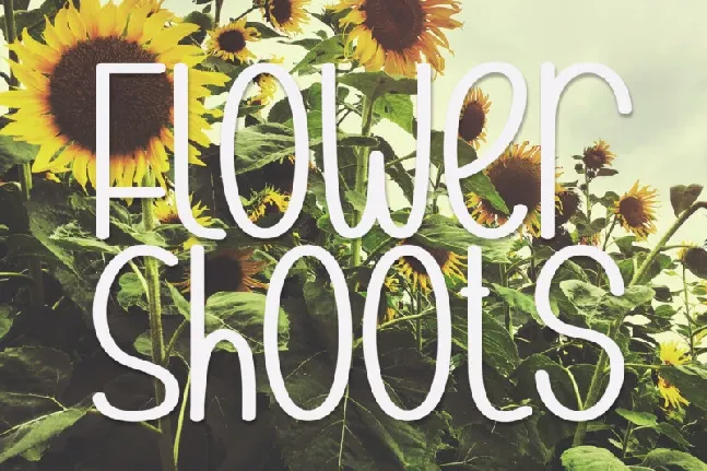 Flower Shoots Display font