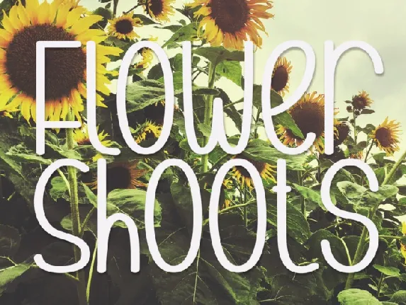 Flower Shoots Display font