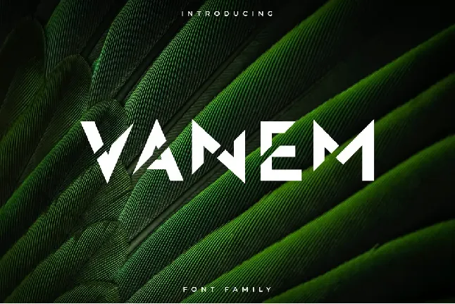 Vanem font