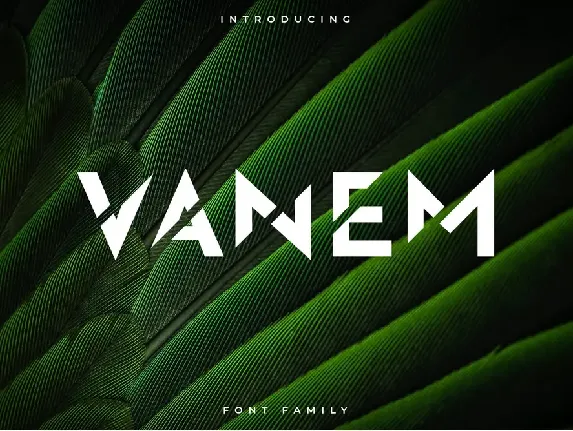 Vanem font