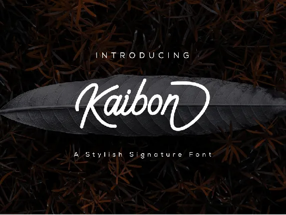 Kaibon Signature font