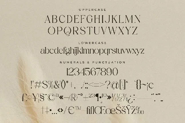 Aurora Magnollia font