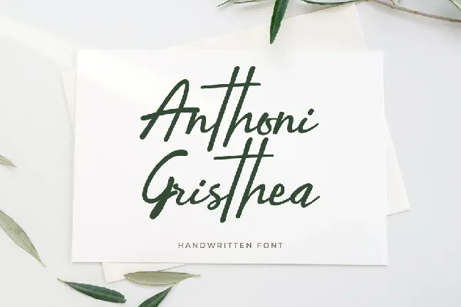 Anthoni Gristhea font