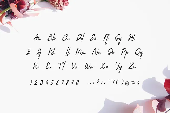 Anthoni Gristhea font