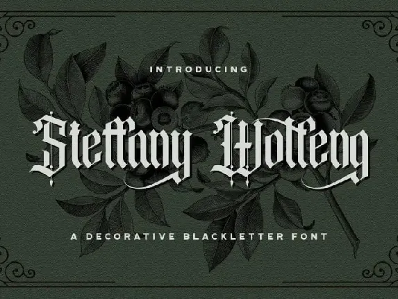 Steffany Wolfeng Display font