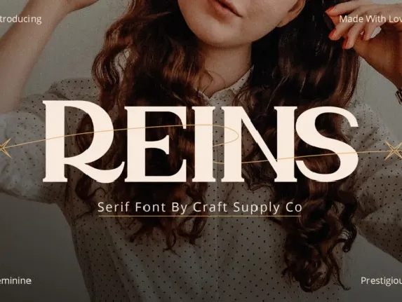 Reins font