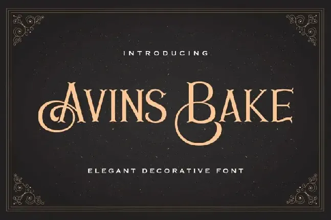 Avins Bake Display font