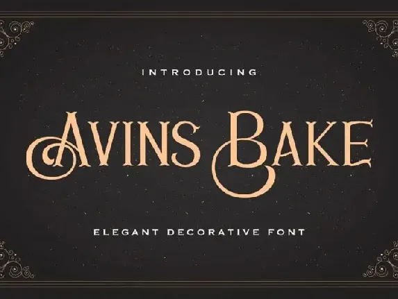 Avins Bake Display font