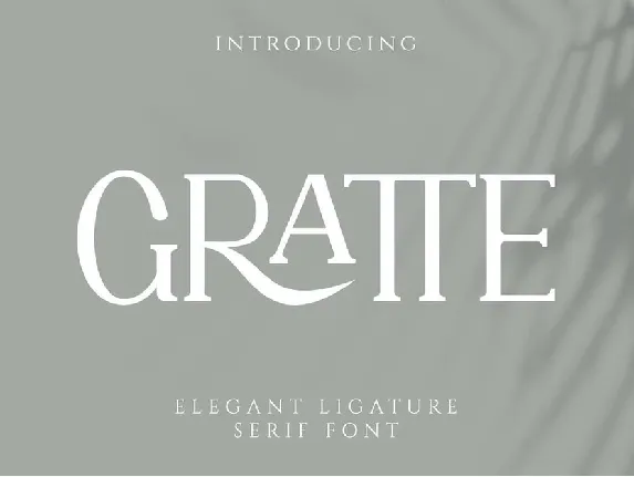 Gratte font