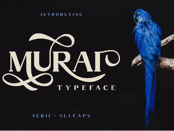 Murai Typeface font