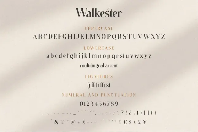 Walkester font