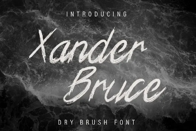 Xander Bruce Brush font