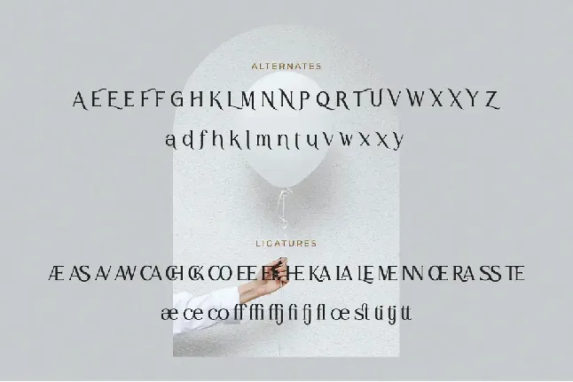 Herotenn font