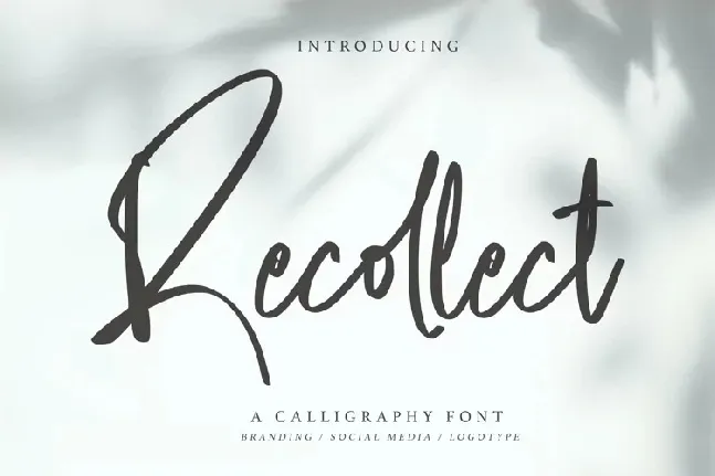 Recollect font